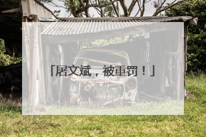 屠文斌，被重罚！