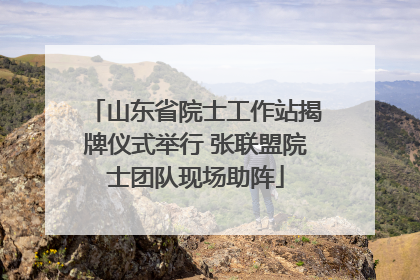 山东省院士工作站揭牌仪式举行 张联盟院士团队现场助阵