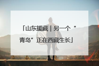 山东援藏｜另一个“青岛”正在西藏生长