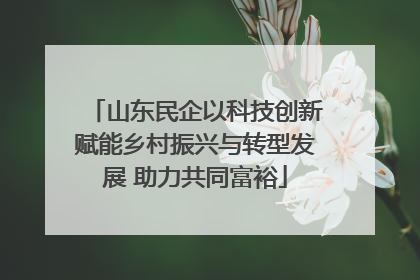 山东民企以科技创新赋能乡村振兴与转型发展 助力共同富裕