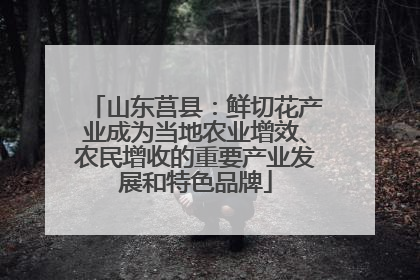 山东莒县：鲜切花产业成为当地农业增效、农民增收的重要产业发展和特色品牌