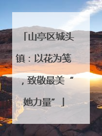 山亭区城头镇：以花为笺，致敬最美“她力量”