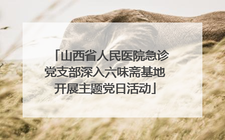 山西省人民医院急诊党支部深入六味斋基地开展主题党日活动