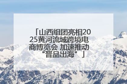 山西组团亮相2025黄河流域跨境电商博览会 加速推动“晋品出海”