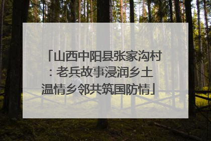 山西中阳县张家沟村：老兵故事浸润乡土 温情乡邻共筑国防情