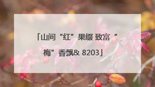 山间“红”果缀 致富“梅”香飘& 8203