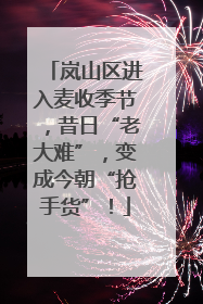 岚山区进入麦收季节，昔日“老大难”，变成今朝“抢手货”！