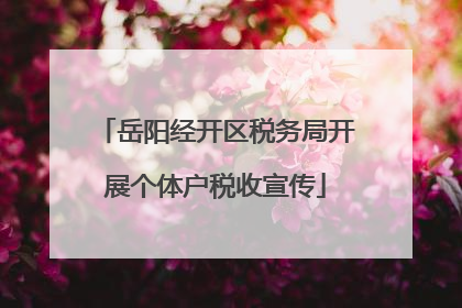 岳阳经开区税务局开展个体户税收宣传
