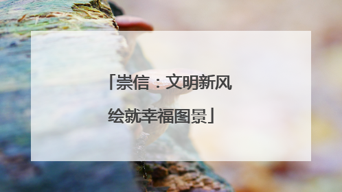 崇信：文明新风绘就幸福图景