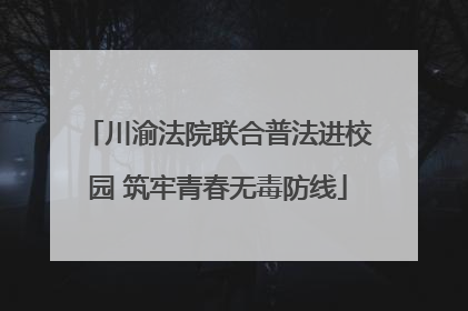 川渝法院联合普法进校园 筑牢青春无毒防线