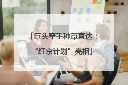 巨头牵手种草直达：“红京计划”亮相
