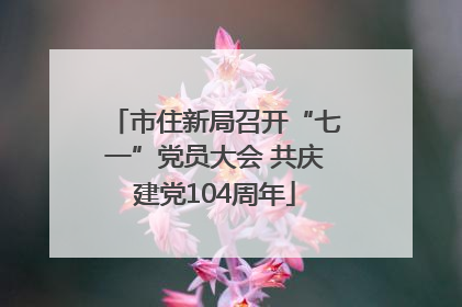 市住新局召开“七一”党员大会 共庆建党104周年