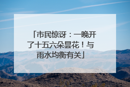 市民惊讶：一晚开了十五六朵昙花！与雨水均衡有关