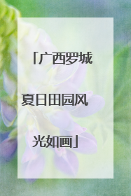 广西罗城夏日田园风光如画