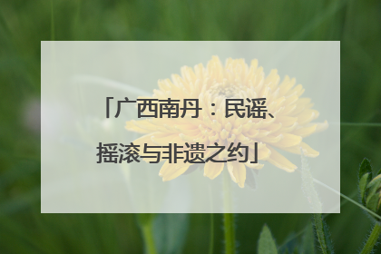 广西南丹：民谣、摇滚与非遗之约