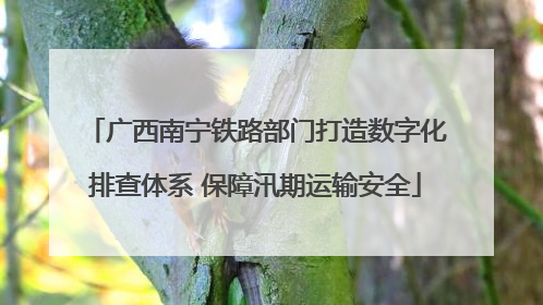广西南宁铁路部门打造数字化排查体系 保障汛期运输安全