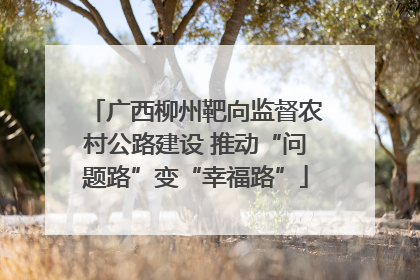 广西柳州靶向监督农村公路建设 推动“问题路”变“幸福路”