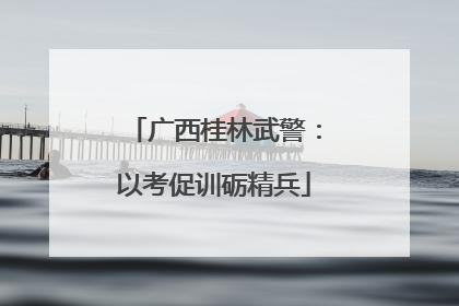 广西桂林武警：以考促训砺精兵