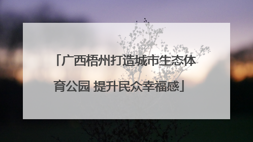 广西梧州打造城市生态体育公园 提升民众幸福感