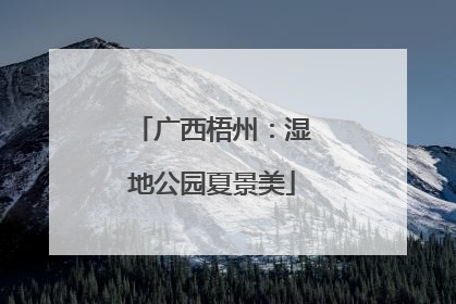 广西梧州：湿地公园夏景美