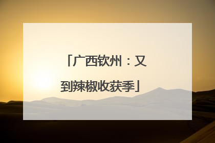 广西钦州：又到辣椒收获季