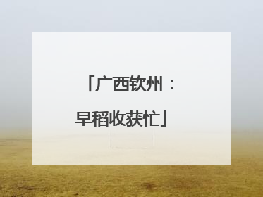 广西钦州：早稻收获忙