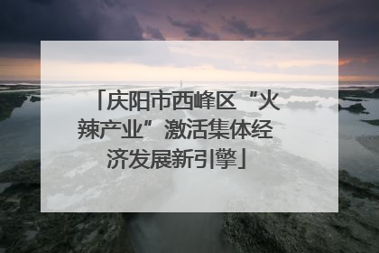 庆阳市西峰区“火辣产业”激活集体经济发展新引擎