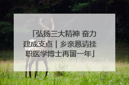 弘扬三大精神 奋力建成支点｜乡亲恳请挂职医学博士再留一年