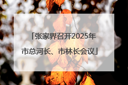 张家界召开2025年市总河长、市林长会议