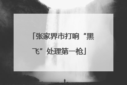 张家界市打响“黑飞”处理第一枪
