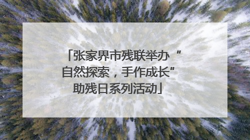 张家界市残联举办“自然探索，手作成长”助残日系列活动