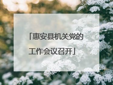 惠安县机关党的工作会议召开