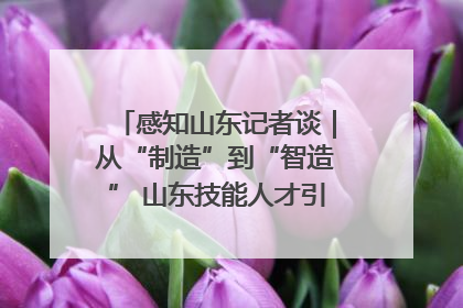 感知山东记者谈｜从“制造”到“智造” 山东技能人才引领产业升级