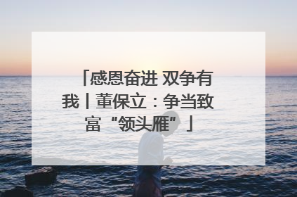 感恩奋进 双争有我丨董保立：争当致富“领头雁”