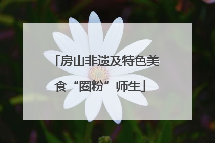 房山非遗及特色美食“圈粉”师生