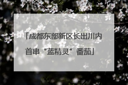 成都东部新区长出川内首串“蓝精灵”番茄