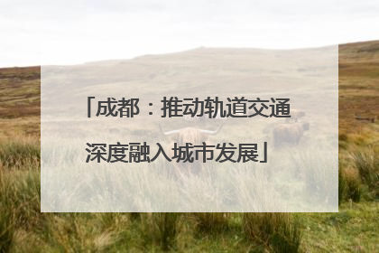 成都：推动轨道交通深度融入城市发展