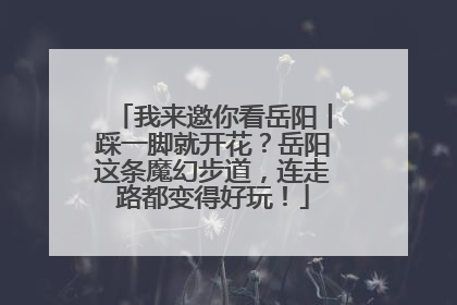 我来邀你看岳阳丨踩一脚就开花？岳阳这条魔幻步道，连走路都变得好玩！