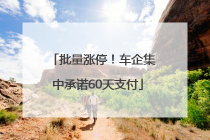 批量涨停！车企集中承诺60天支付