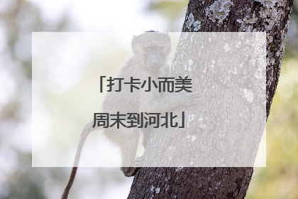 打卡小而美 周末到河北