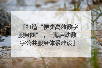 打造“便捷高效数字服务圈”，上海启动数字公共服务体系建设
