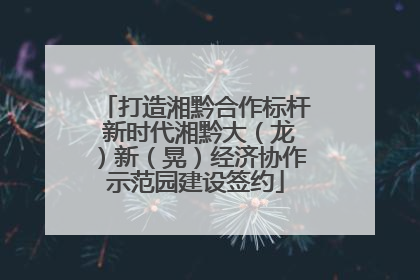 打造湘黔合作标杆 新时代湘黔大（龙）新（晃）经济协作示范园建设签约