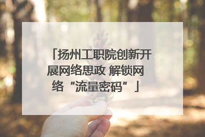 扬州工职院创新开展网络思政 解锁网络“流量密码”