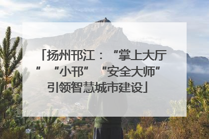 扬州邗江：“掌上大厅”“小邗”“安全大师”引领智慧城市建设
