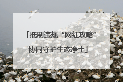 抵制违规“网红攻略” 协同守护生态净土