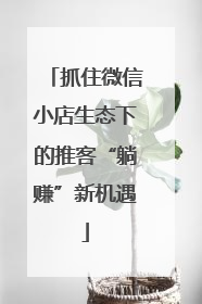 抓住微信小店生态下的推客“躺赚”新机遇