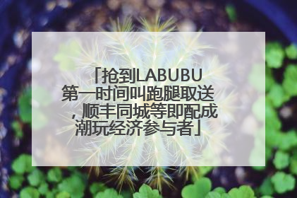 抢到LABUBU第一时间叫跑腿取送，顺丰同城等即配成潮玩经济参与者