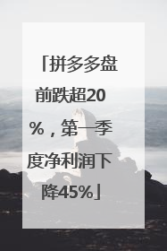 拼多多盘前跌超20%，第一季度净利润下降45%