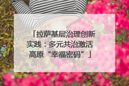 拉萨基层治理创新实践：多元共治激活高原“幸福密码”