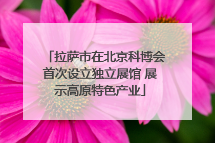拉萨市在北京科博会首次设立独立展馆 展示高原特色产业